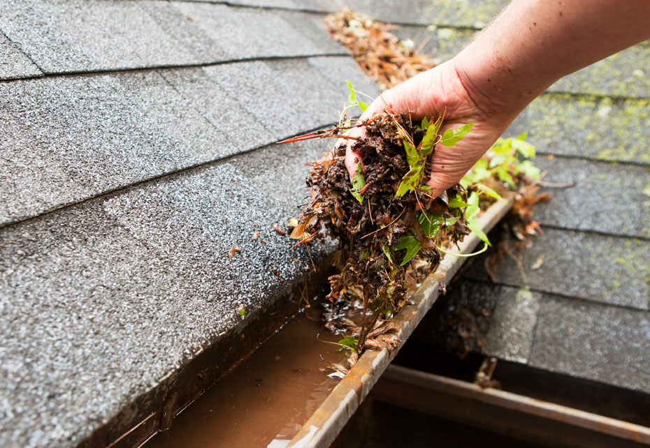 Blue Roofing and Gutters