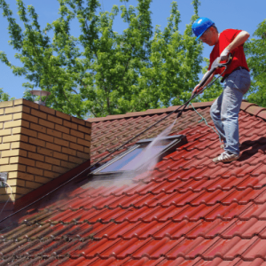Bonney Lake Roof Cleaning