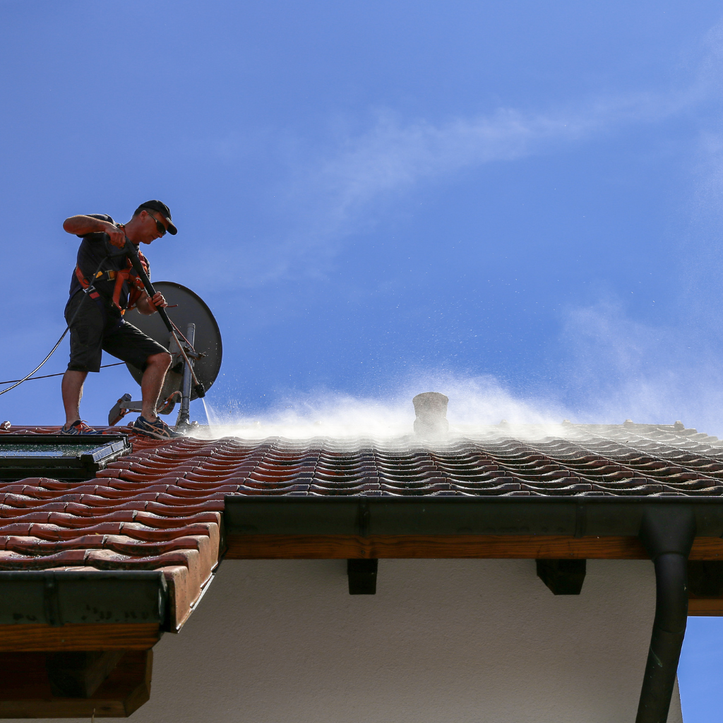 Renton Roof Cleaning