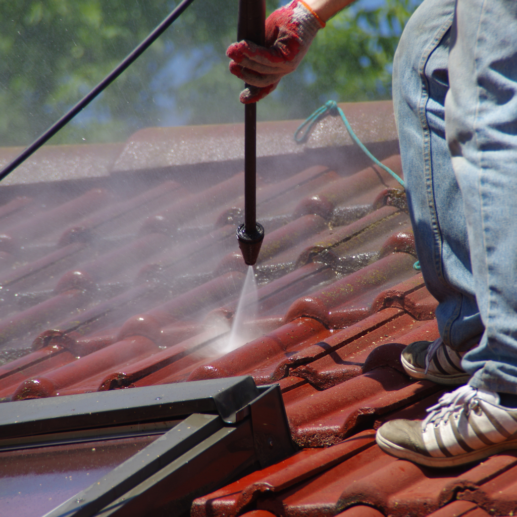 Auburn Roof Cleaning