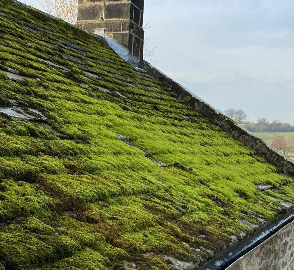 How to Remove Moss from Roof